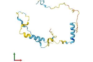 Protein Structure (PS) image for Chromosome 1 Open Reading Frame 144 (C1orf144) (AA 1-152) protein (His tag) (ABIN7544079)