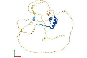 Protein Structure (PS) image for NK1 Homeobox 2 (NKX1-2) (AA 1-310) protein (His tag) (ABIN7549863)