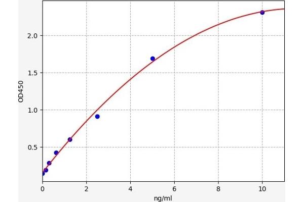 MYL3/CMLC1 ELISA 试剂盒