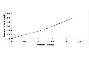 Typical standard curve (CH25H ELISA 试剂盒)