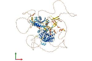 AlphaFold protein structure predicition of Mouse Recombinant Fnip2 Protein, UniprotID Q80TD3