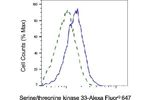 Validation of Serine/threonine kinase 33 knockdown using flow cytometry. (Recombinant STK33 抗体)