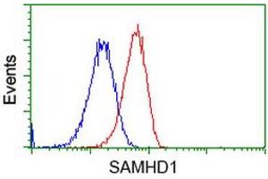 Flow cytometric Analysis of Hela cells, using anti-SAMHD1 antibody (ABIN2453624), (Red), compared to a nonspecific negative control antibody (TA50011), (Blue). (SAMHD1 抗体)