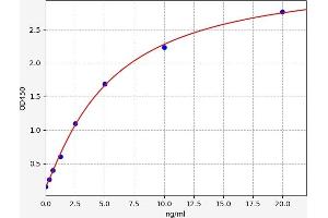 Typical standard curve (FAM20B ELISA 试剂盒)