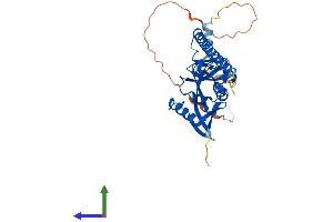 Protein Structure (PS) image for Ras Association (RalGDS/AF-6) Domain Family Member 2 (RASSF2) (AA 1-326) protein (His tag) (ABIN7558777)