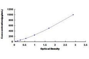 Typical standard curve (IL-18 ELISA 试剂盒)