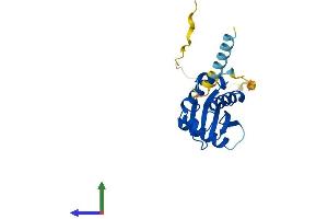 Protein Structure (PS) image for Coatomer Protein Complex, Subunit zeta 2 (COPZ2) (AA 1-210) protein (His tag) (ABIN7546758)