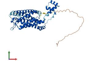 AlphaFold protein structure predicition of Mouse Recombinant Cers4 Protein, UniprotID Q9D6J1