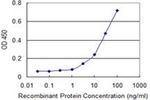 Detection limit for recombinant GST tagged LRRC2 is 1 ng/ml as a capture antibody. (LRRC2 抗体  (AA 272-371))