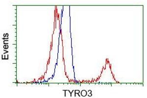 HEK293T cells transfected with either pCMV6-ENTRY TYRO3 (RC208260) (Red) or empty vector control plasmid (Blue) were immunostained with anti-TYRO3 mouse monoclonal (ABIN2452233, Dilution 1:1,000), and then analyzed by flow cytometry. (TYRO3 抗体)