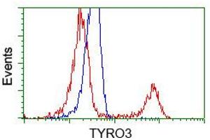 HEK293T cells transfected with either pCMV6-ENTRY TYRO3 (RC208260) (Red) or empty vector control plasmid (Blue) were immunostained with anti-TYRO3 mouse monoclonal (ABIN2452233, Dilution 1:1,000), and then analyzed by flow cytometry.