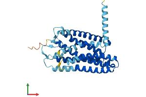 Protein Structure (PS) image for Olfactory Receptor, Family 2, Subfamily W, Member 1 (OR2W1) (AA 1-320) protein (His tag) (ABIN7550371)