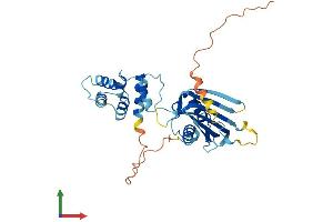 Protein Structure (PS) image for Chromosome 3 Open Reading Frame 38 (C3orf38) (AA 1-329) protein (His tag) (ABIN7553137)
