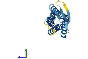 Protein Structure (PS) image for Peripheral Myelin Protein 22 (PMP22) (AA 1-160) protein (His tag) (ABIN7550875)