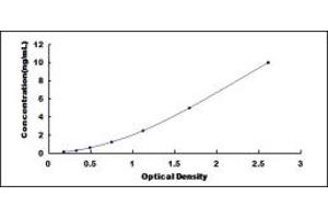 Typical standard curve (Kallikrein 9 ELISA 试剂盒)