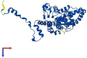 DHPS Protein (AA 1-369) (His tag)