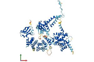 AlphaFold protein structure predicition of Mouse Recombinant Elmo2 Protein, UniprotID Q8BHL5