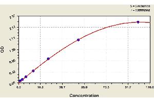 ELISA image for Complement Factor B (CFB) ELISA Kit (ABIN1114331) (Complement Factor B ELISA 试剂盒)