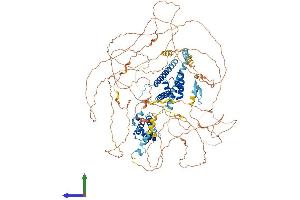 Protein Structure (PS) image for TAF4 RNA Polymerase II, TATA Box Binding Protein (TBP)-Associated Factor, 135kDa (TAF4) (AA 1-1085) protein (His tag) (ABIN7555696)