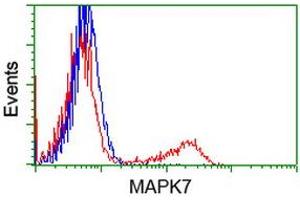 HEK293T cells transfected with either RC203506 overexpress plasmid (Red) or empty vector control plasmid (Blue) were immunostained by anti-MAPK7 antibody (ABIN2454054), and then analyzed by flow cytometry. (MAPK7 抗体)
