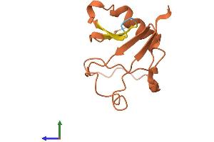 AlphaFold protein structure predicition of Human Recombinant LINC01619 Protein, UniprotID G3V211