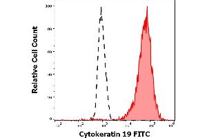 Separation of MCF-7 cells stained using anti-Cytokeratin 19 (A53-B/A2) FITC antibody (concentration in sample 3 μg/mL, red-filled) from MCF-7 cells stained using mouse IgG2b isotype control (MPC-11) FITC antibody (concentration in sample 3 μg/mL, same as anti-Cytokeratin 19 FITC antibody concentration, black-dashed) in flow cytometry analysis (surface staining). (Cytokeratin 19 抗体  (FITC))
