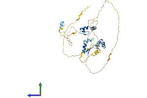 Protein Structure (PS) image for Zinc Finger Protein 385A (ZNF385A) (AA 1-386) protein (His tag) (ABIN7556062)