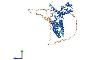 Protein Structure (PS) image for SWI/SNF Related, Matrix Associated, Actin Dependent Regulator of Chromatin, Subfamily D, Member 1 (SMARCD1) (AA 1-515) protein (His tag) (ABIN7563915)
