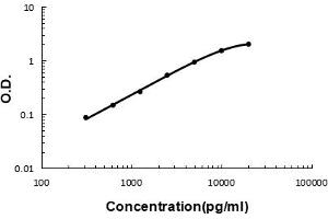 Sandwich ELISA - Recombinant mouse VE Cadherin/Cdh5 protein standard curve. (Cadherin 5 抗体  (AA 46-285))