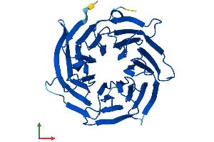 Protein Structure (PS) image for Peroxisomal Biogenesis Factor 7 (PEX7) (AA 1-318) protein (His tag) (ABIN7556836)