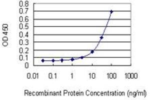Detection limit for recombinant GST tagged EPAS1 is 1 ng/ml as a capture antibody. (EPAS1 抗体  (AA 28-347))