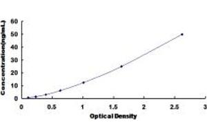 Typical standard curve (Riboflavin Kinase ELISA 试剂盒)