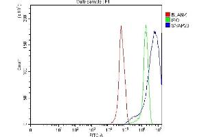 Flow Cytometry analysis of RT4 cells using anti-SNAP23 antibody (ABIN7599089).