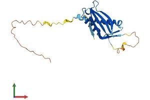 AlphaFold protein structure predicition of Human Recombinant DDIT4L Protein, UniprotID Q96D03