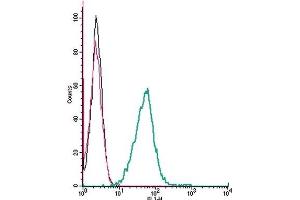 Cell surface detection of EphA1 by indirect flow cytometry in live intact mouse J774 macrophage cells: (black line) Cells. (EPHA1 抗体  (Extracellular))