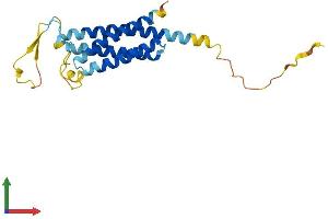 Protein Structure (PS) image for Na+/K+ Transporting ATPase Interacting 2 (NKAIN2) (AA 1-208) protein (His tag) (ABIN7557393)