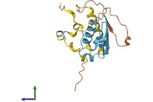 AlphaFold protein structure predicition of Human Recombinant PMS2P3 Protein, UniprotID Q13401
