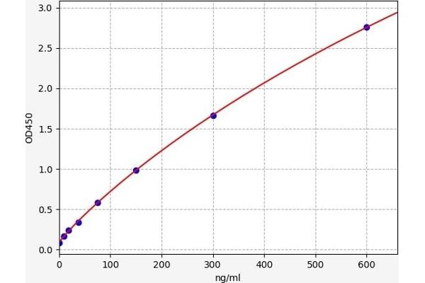 Factor VIII ELISA 试剂盒