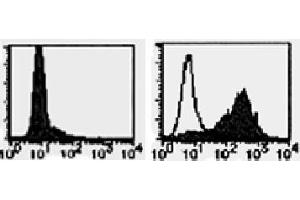 Flow Cytometry (FACS) image for anti-Tumor Necrosis Factor (Ligand) Superfamily, Member 13b (TNFSF13B) antibody (ABIN1449224) (BAFF 抗体)