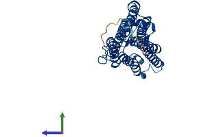 AlphaFold protein structure predicition of Mouse Recombinant Paqr3 Protein, UniprotID Q6TCG8