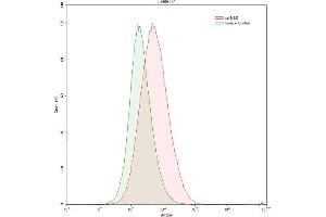 Detection of NSE in HepG2 human hepatocellular carcinoma cell line using Polyclonal Antibody to Enolase, Neuron Specific (NSE) (ENO2/NSE 抗体  (AA 2-434))