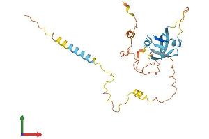 AlphaFold protein structure predicition of Mouse Recombinant Nrip2 Protein, UniprotID Q9JHR9