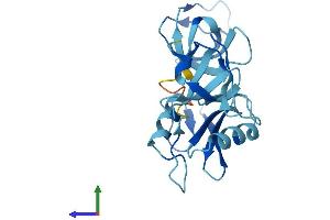 Protein Structure (PS) image for GRB2-Related Adaptor Protein (GRAP) (AA 1-217) protein (His tag) (ABIN7548046)