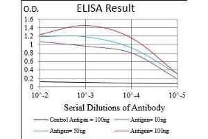 Black line: Control Antigen (100 ng), Purple line: Antigen(10 ng), Blue line: Antigen (50 ng), Red line: Antigen (100 ng), (TIE1 抗体  (AA 385-607))