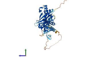 AlphaFold protein structure predicition of Mouse Recombinant Tradd Protein, UniprotID Q3U0V2