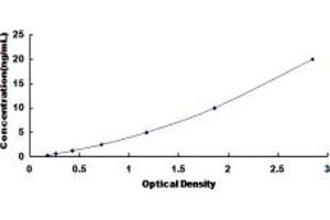 Typical standard curve (NUP62 ELISA 试剂盒)