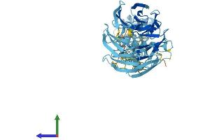 Protein Structure (PS) image for Smu-1 Suppressor of Mec-8 and Unc-52 Homolog (SMU1) (AA 1-513) protein (His tag) (ABIN7557216)
