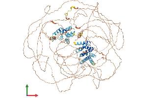 Protein Structure (PS) image for G Protein-Coupled Receptor Associated Sorting Protein 1 (GPRASP1) (AA 1-1347) protein (His tag) (ABIN7563854)