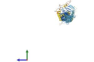 Protein Structure (PS) image for Mitofusin 1 (MFN1) (AA 1-741) protein (His tag) (ABIN7554576)