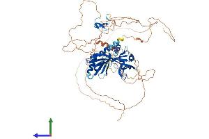 AlphaFold protein structure predicition of Human Recombinant APBB1 Protein, UniprotID O00213